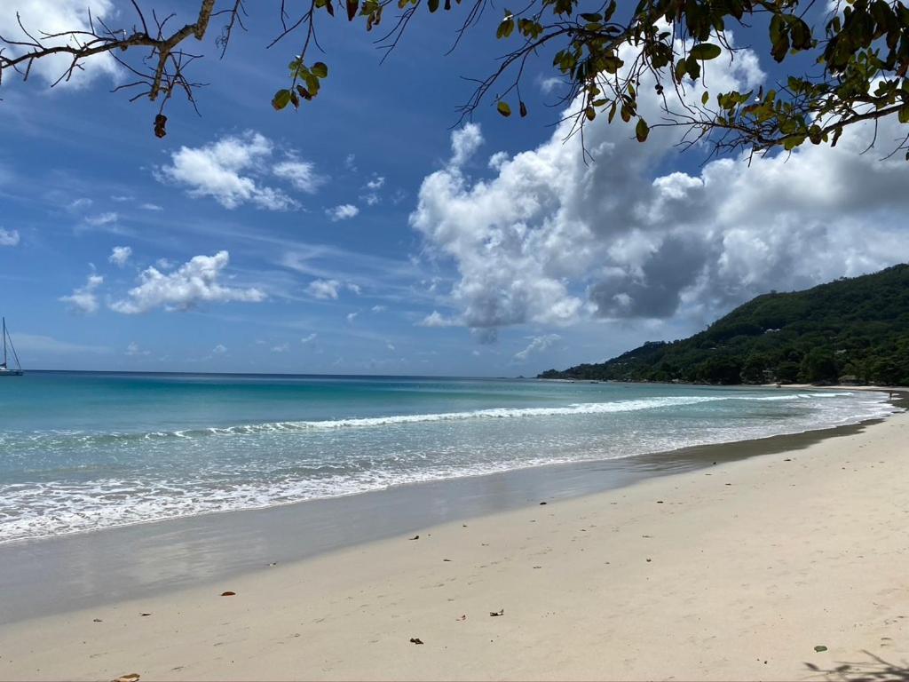Beau Bamboo Appartement Beau Vallon  Buitenkant foto